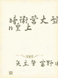 暗卫营大型hpn皇上