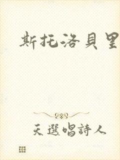 《斯托洛贝里》小说封面