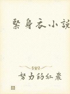 紧身衣小说