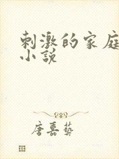 刺激的家庭乱仑小说