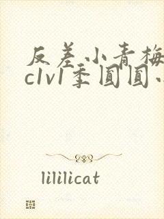 反差小青梅不经c1v1季圆圆小说