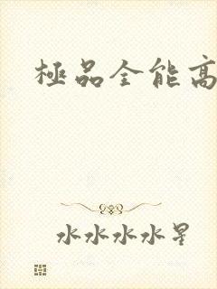 极品全能高手