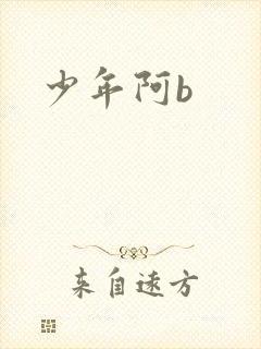少年阿b