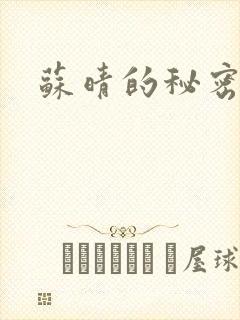 苏晴的秘密小说