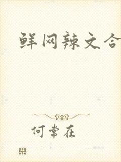 鲜网辣文合集