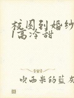 校园到婚纱1V1高冷甜