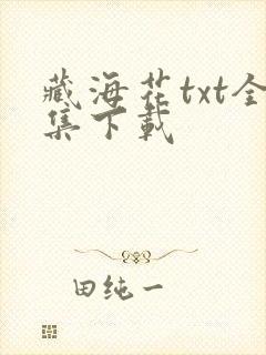 藏海花txt全集下载