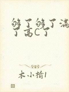 够了够了满到C了高C了