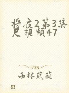 将夜2第3集大尺视频47