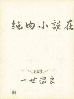 纯肉小说在线