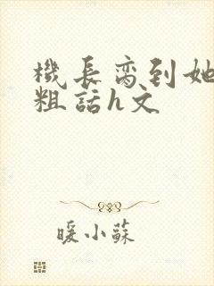 机长脔到她哭h粗话h文