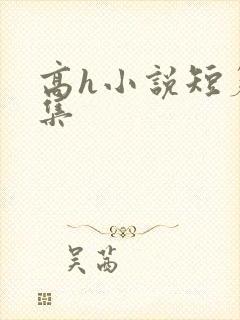 高h小说短篇合集封面