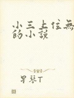 小三上位无三观的小说