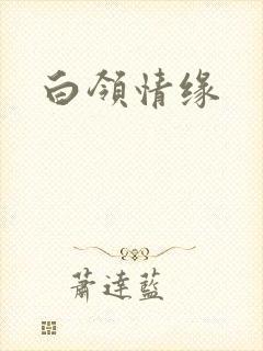 白领情缘
