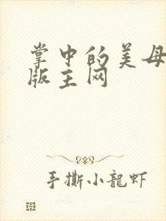 掌中的美母第一版主网封面