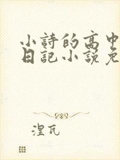 小诗的高中成长日记小说免费阅读