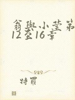 翁与小莹第十部12至16章