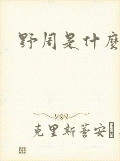 野周是什么意思