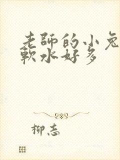 老师的小兔子好软水好多