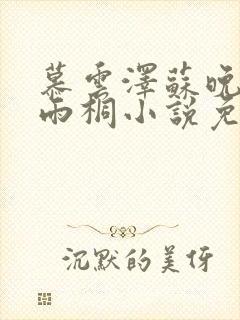 慕云泽苏晚晴夏雨桐小说免费阅读