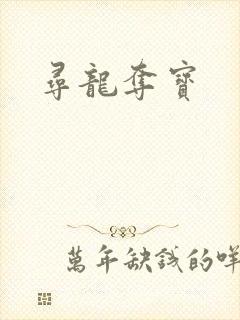 寻龙夺宝
