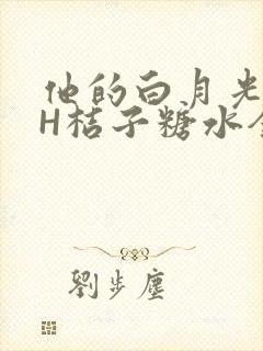 他的白月光HVH桔子糖水全文