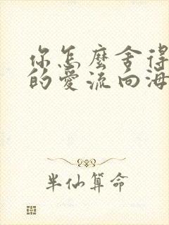 你怎么舍得让我的爱流向海