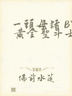 一头母猪 BY 黄金圣斗士