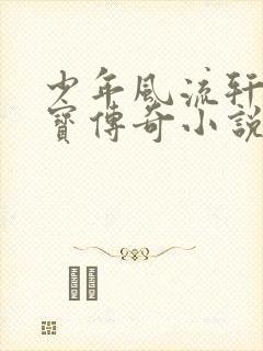 少年风流轩辕大宝传奇小说