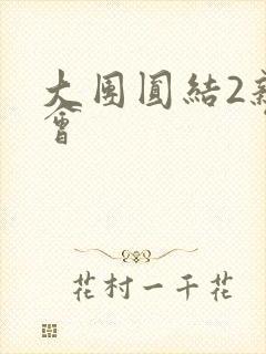 大团圆结2亲情会