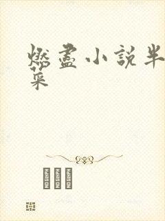 燃尽小说半截白菜