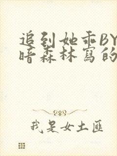 追到她乖BY黑暗森林写的小说