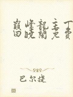 巅峰龙主丁长顺田晓兰免费阅读