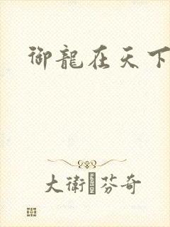 御龙在天下载