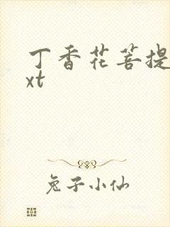 丁香花菩提树txt