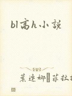 bl高h小说