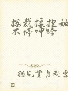 总裁揉捏她两乳不停呻吟