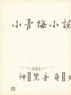 小青梅小说