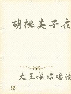 胡桃夹子夜未眠