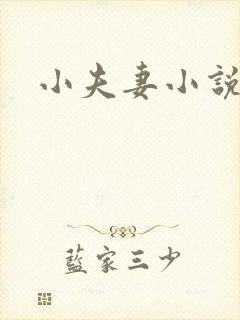 小夫妻小说