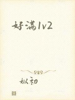 好满1v2