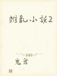 杂乱小说2