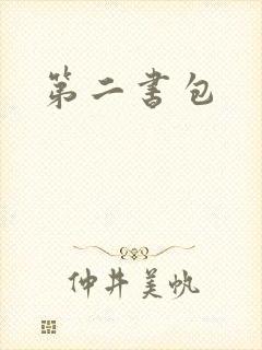 第二书包