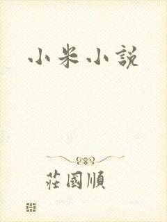 小米小说