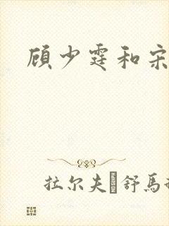 顾少霆和宋斯曼