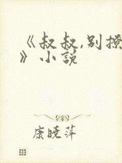 《叔叔,别撩我》小说