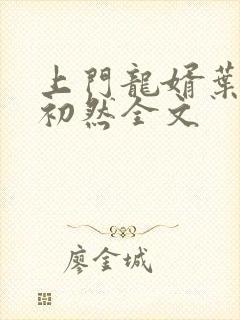 上门龙婿叶辰萧初然全文