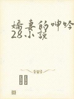 娇妻的呻吟1—28小说