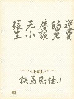 张元庆的逆袭人生小说免费阅读