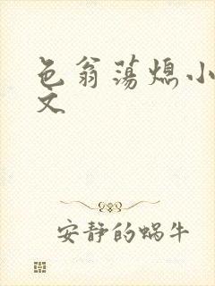 色翁荡熄小说全文